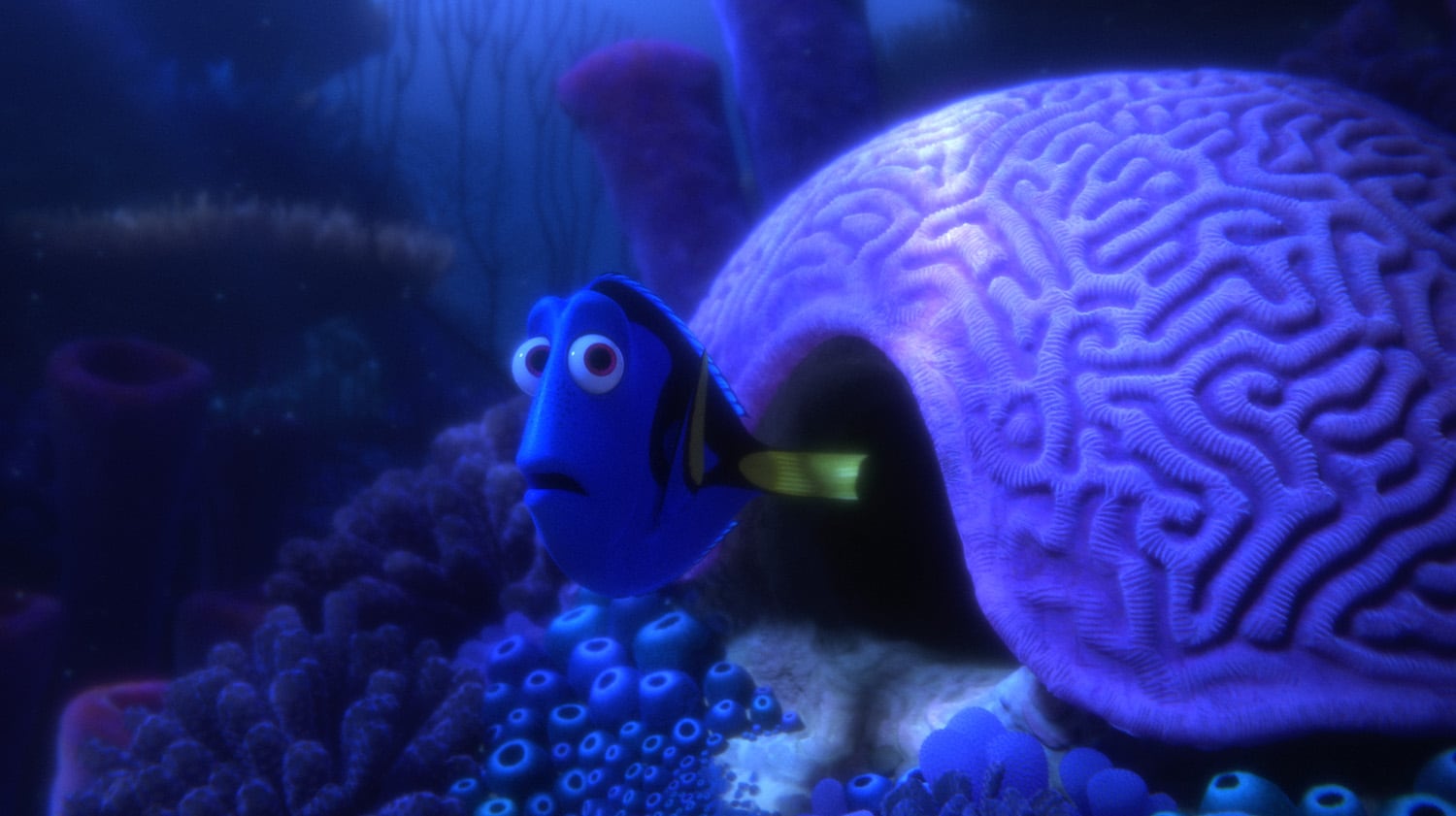 Dory sai de sua casa dentro de um coral em formato de cérebro.